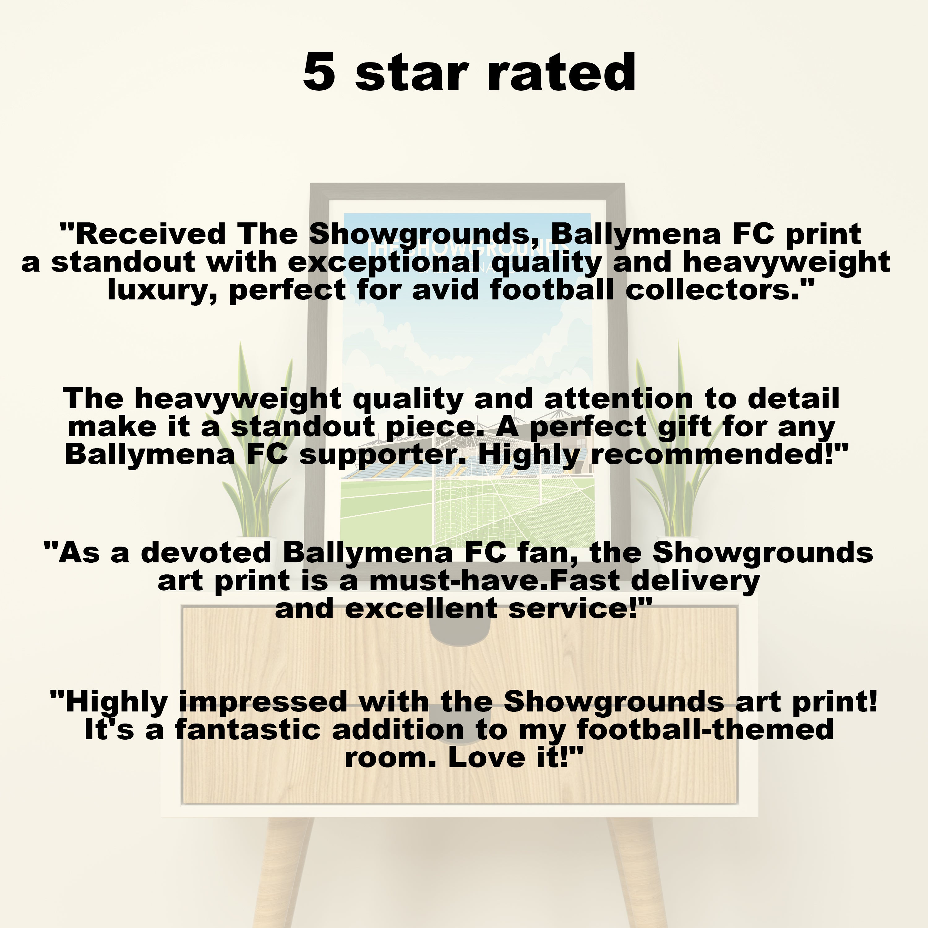 The Showgrounds Ballymena FC Kunstdruck auf schwerem Papier - Fußballpfosten - Perfektes Geschenk - Geburtstagsgeschenk für ihn