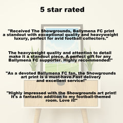 The Showgrounds Ballymena FC Heavyweight Art Print - Football Post - Perfect Gift - Birthday Present for Him