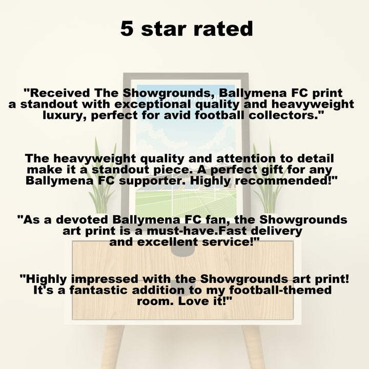 The Showgrounds Ballymena FC Heavyweight Art Print - Football Post - Perfect Gift - Birthday Present for Him