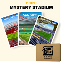 Mystery A4 Stadium Print